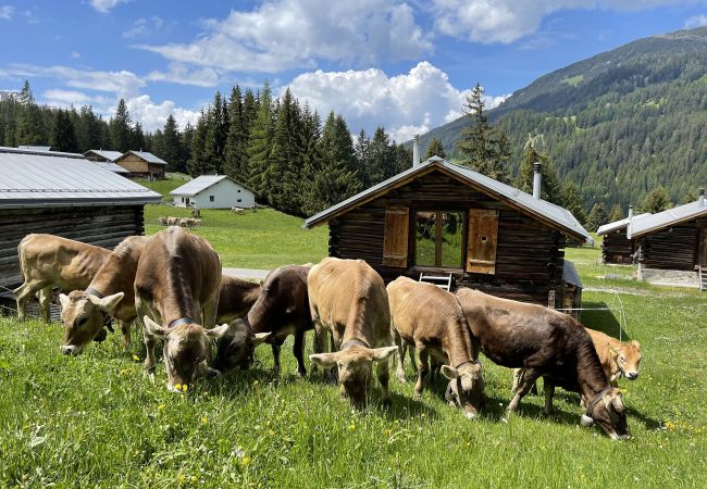 Chalet in Lantsch/Lenz - Mountain Cabin Got Spess Lenzerheide Chalet in Lantsch/Lenz - Mountain Cabin Got Spess Lenzerheide