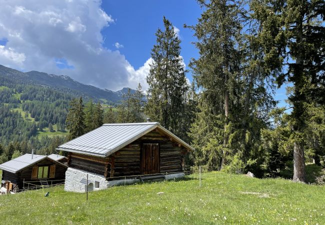 Chalet in Lantsch/Lenz - Mountain Cabin Got Spess Lenzerheide Chalet in Lantsch/Lenz - Mountain Cabin Got Spess Lenzerheide