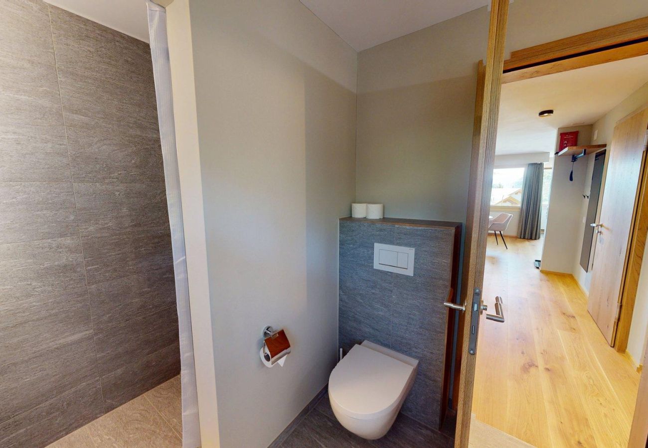 Apartment in Valbella - Setaria for 5 persons House Barlangia-Lenzerheide