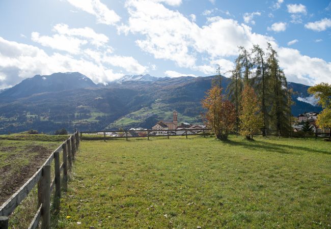 House in Lantsch/Lenz - Holiday home with garden Tgeasa Schilendra-Lantsch/Lenz House in Lantsch/Lenz - Holiday home with garden Tgeasa Schilendra-Lantsch/Lenz