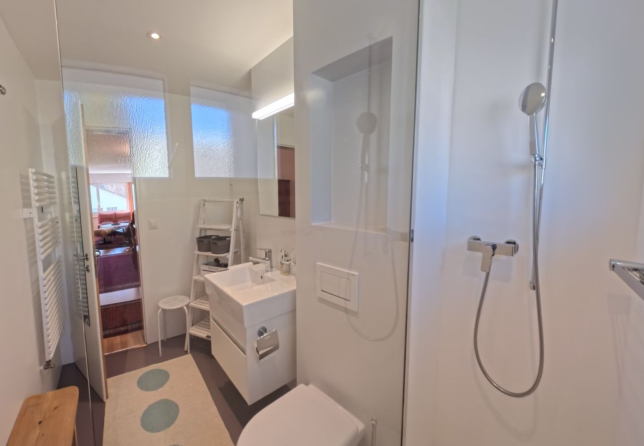 Apartment in Lenzerheide/Lai - Central base for biking and skiing