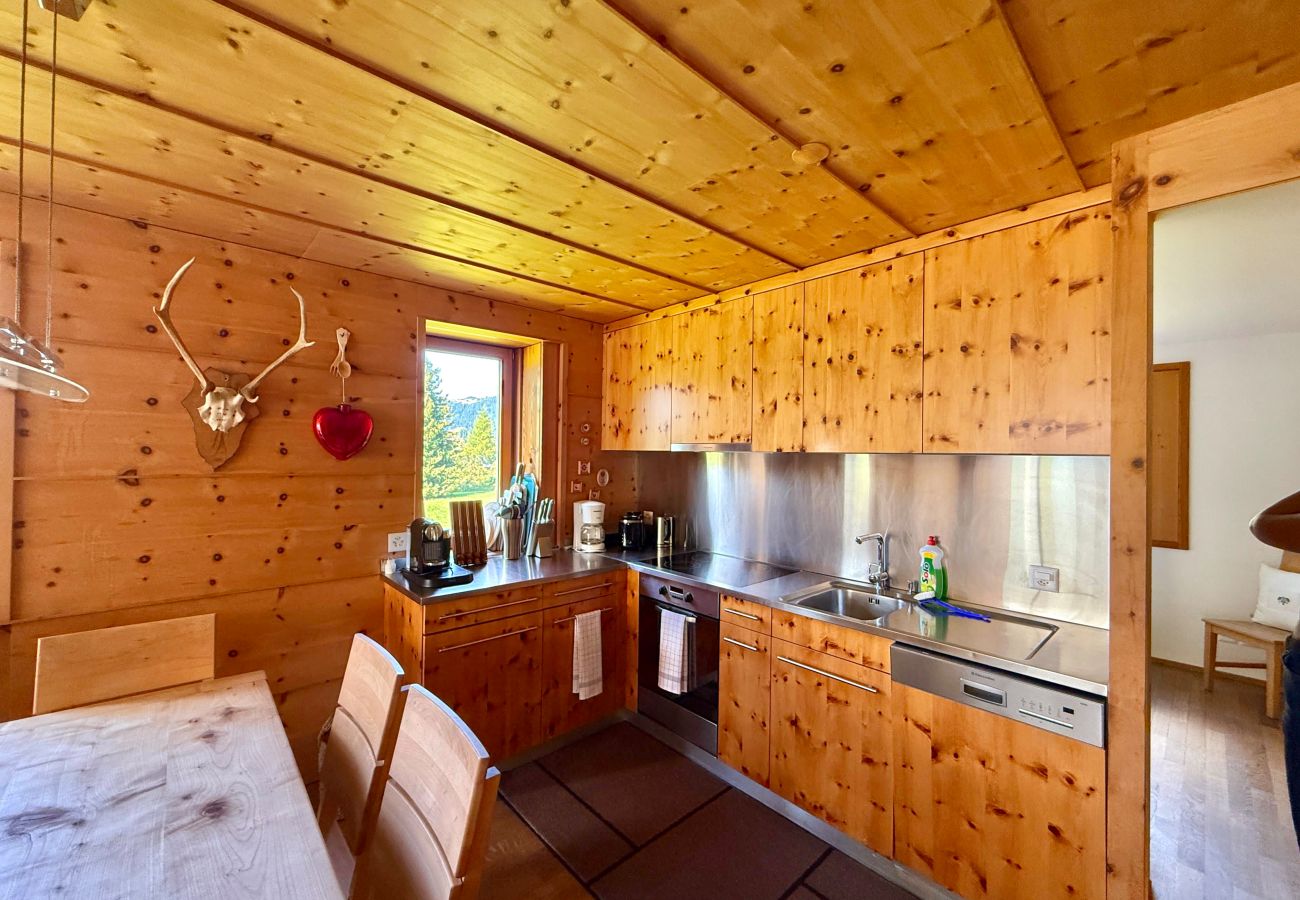 Apartment in Parpan - Family accommodation Oberbergstrassse for 5 persons Parpan