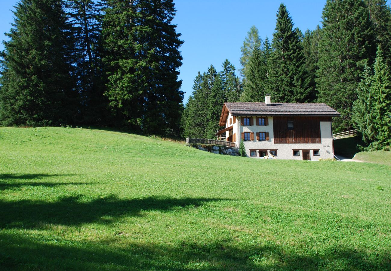 House in Lenzerheide/Lai - Ski-in & Ski-out Alpine Hut-Maizäss Acla Pala Lenzerheide