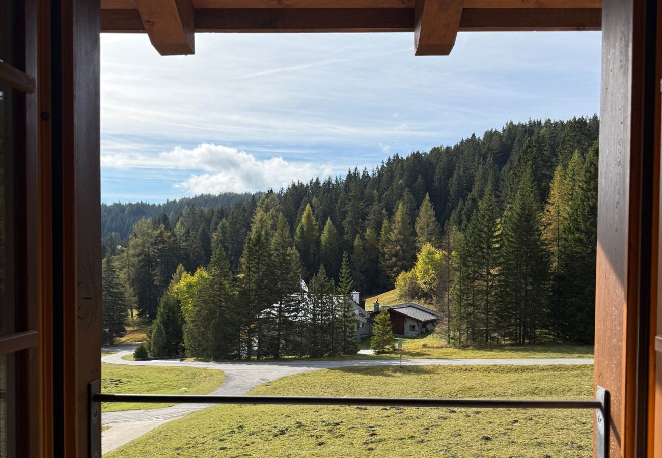 House in Lenzerheide/Lai - Ski-in & Ski-out Alpine Hut-Maizäss Acla Pala Lenzerheide