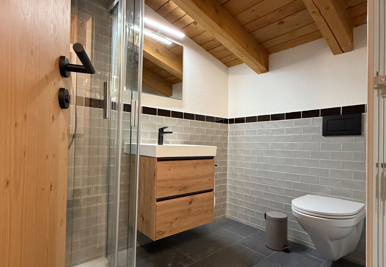 Apartment in Lenzerheide/Lai - 4.5-room apartment Bergcafé Aurora Lenzerheide