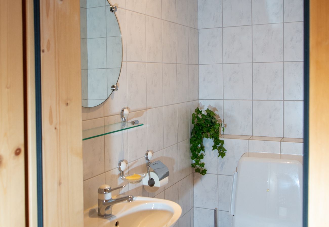 Apartment in Lantsch/Lenz - Lantsch-Lenz Attic Apartment for 7 People Crauna