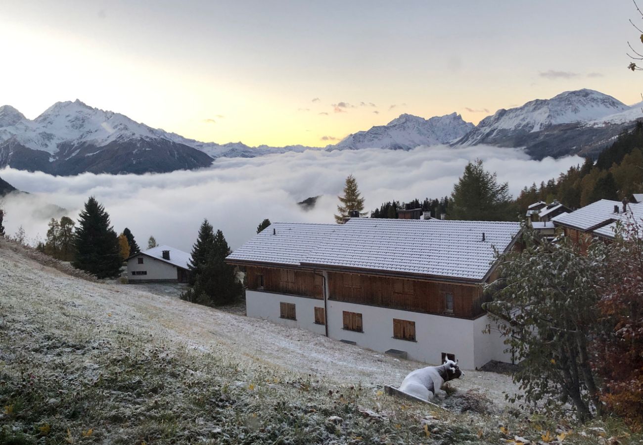 Apartment in Lenzerheide/Lai - 1629 Sporz Damiez