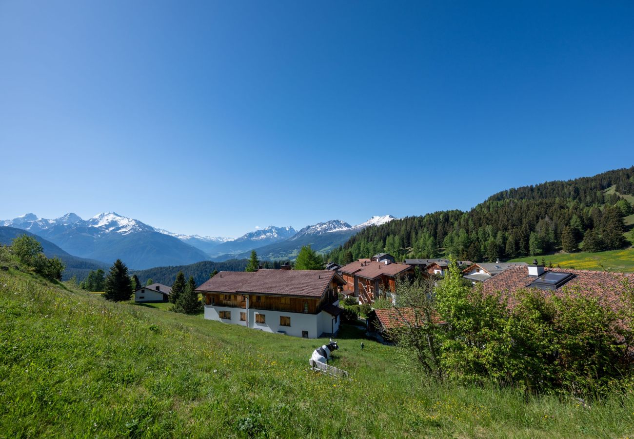 Apartment in Lenzerheide/Lai - Charming mountain flat with sauna