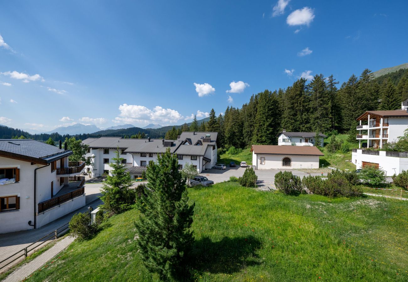 Apartment in Valbella - Valbella Apartment: Cross-country skiing