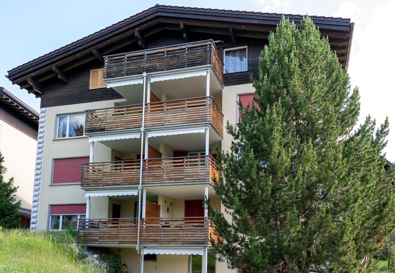Apartment in Valbella - Valbella Apartment: Cross-country skiing