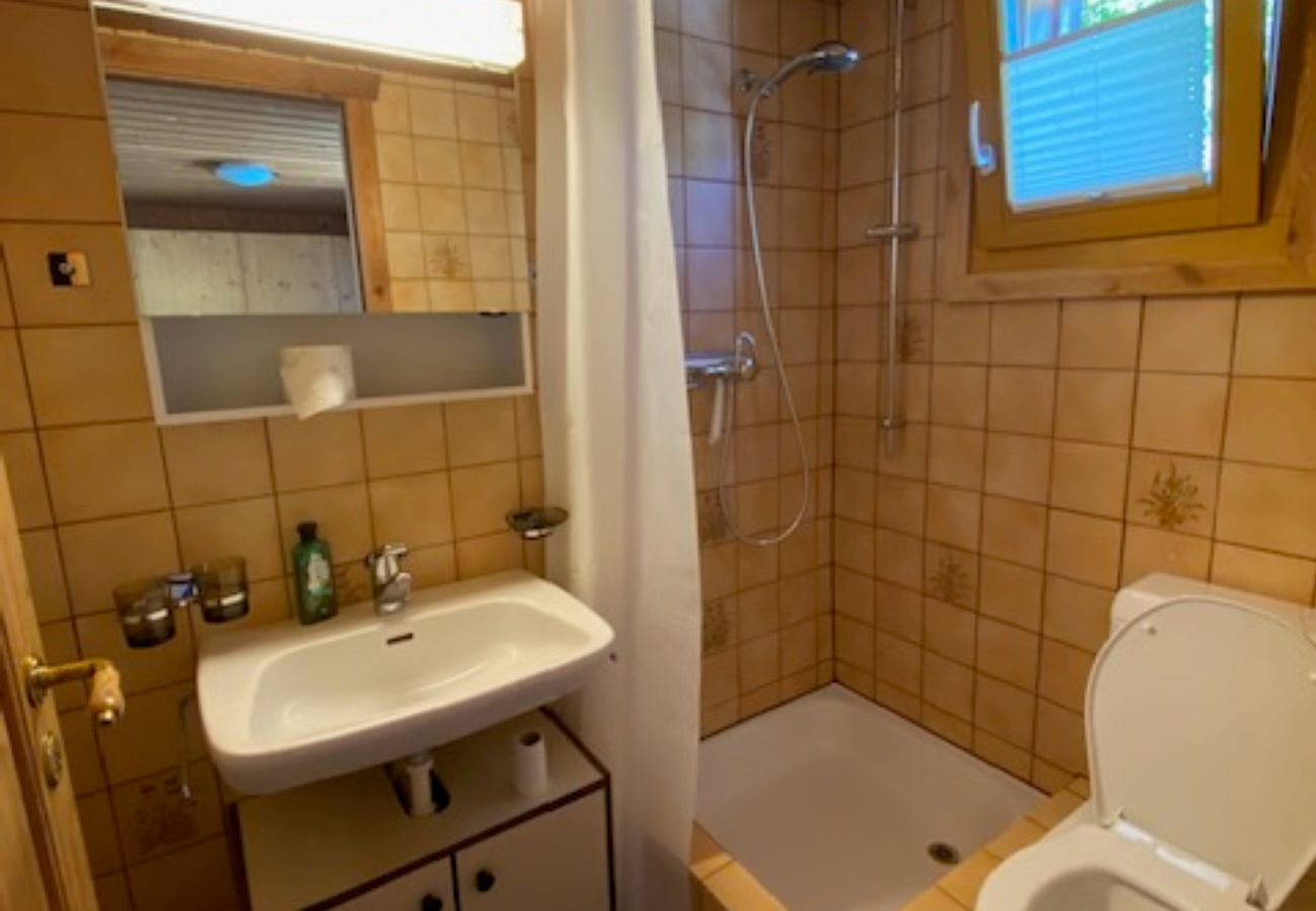 Apartment in Brienz/Brinzauls - Brienz Mountain Base 2.5 – Simple & Comfortable