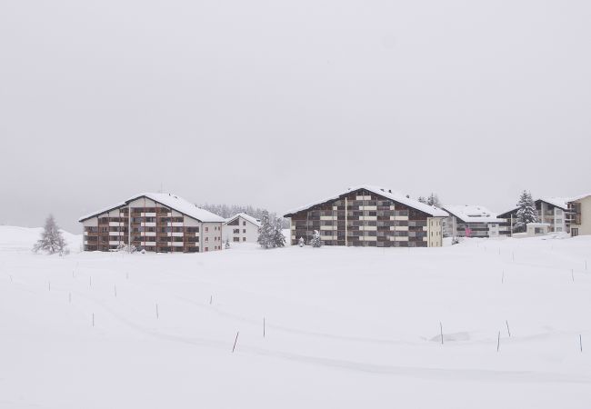 Ferienwohnung in Parpan - Ski in-Ski out Ferienwohnung Heimberg in Parpan- Lenzerheide Ferienwohnung in Parpan - Ski in-Ski out Ferienwohnung Heimberg in Parpan- Lenzerheide