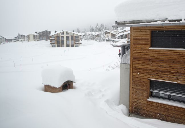 Ferienwohnung in Parpan - Ski in-Ski out Ferienwohnung Heimberg in Parpan- Lenzerheide Ferienwohnung in Parpan - Ski in-Ski out Ferienwohnung Heimberg in Parpan- Lenzerheide