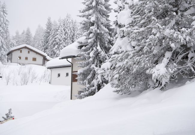 Ferienwohnung in Parpan - Ski in-Ski out Ferienwohnung Heimberg in Parpan- Lenzerheide Ferienwohnung in Parpan - Ski in-Ski out Ferienwohnung Heimberg in Parpan- Lenzerheide