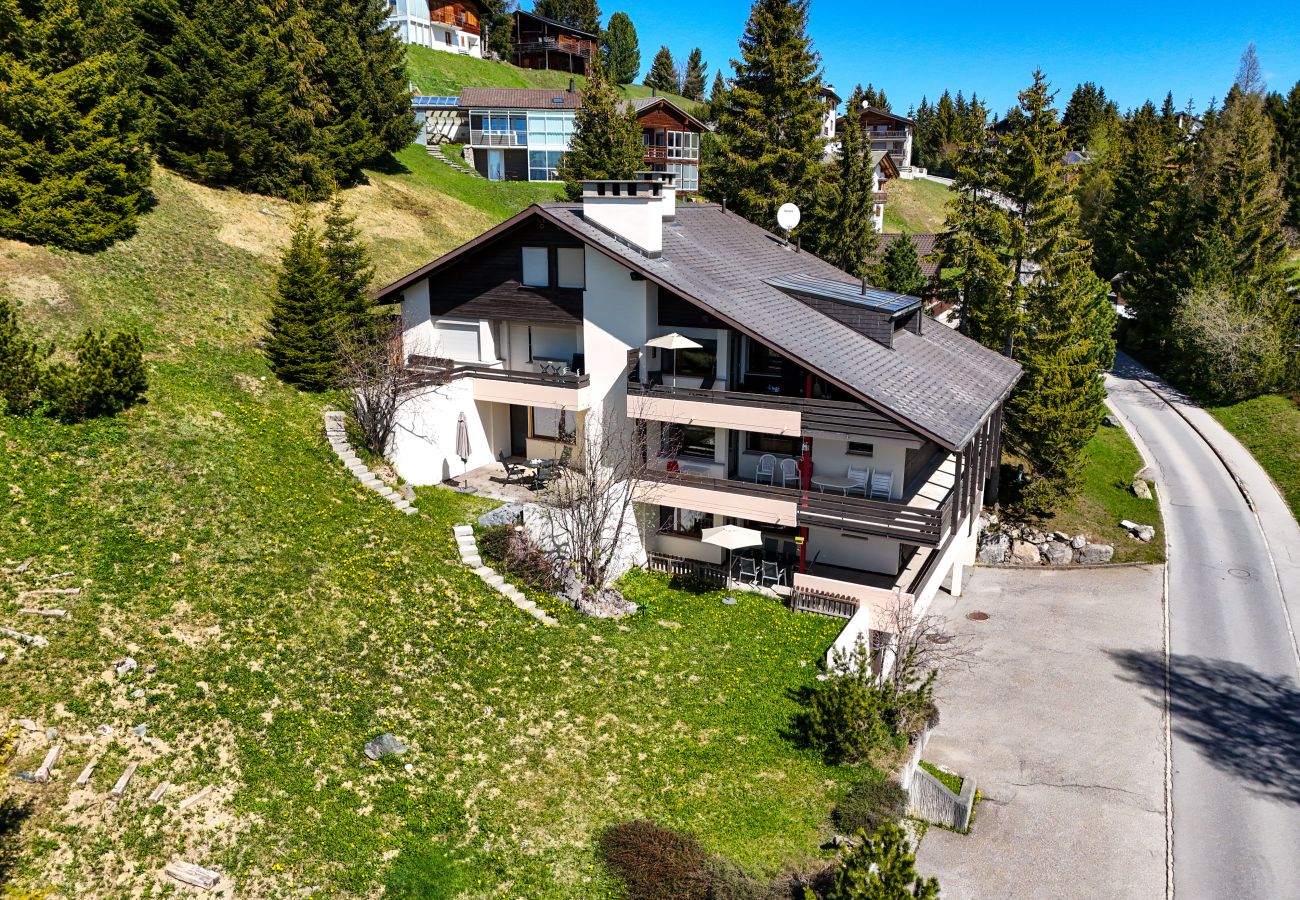 Ferienwohnung in Valbella - Briza für 6 Personen Haus Barlangia - Lenzerheide