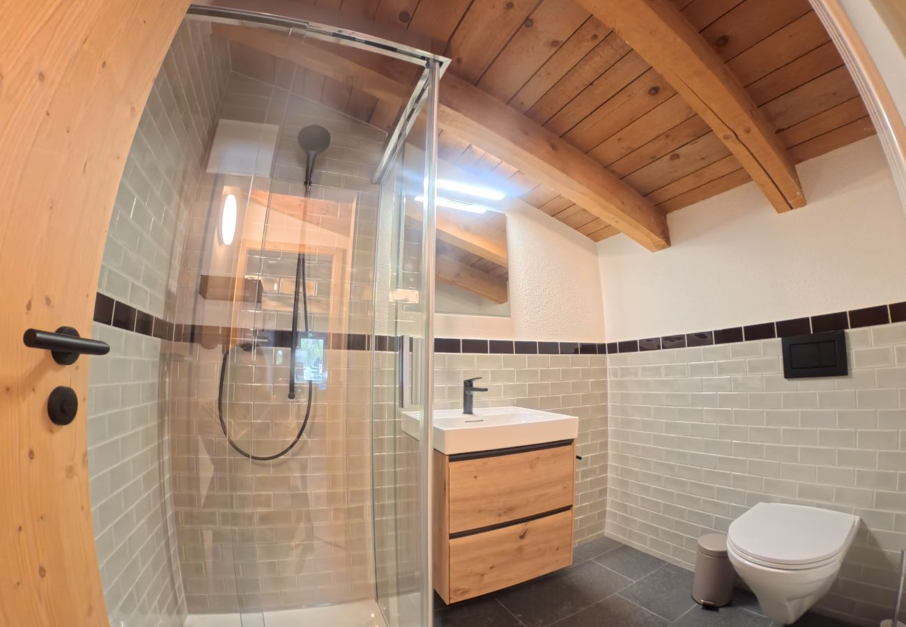 Ferienwohnung in Lenzerheide/Lai - Moderne Duplex-Wohnung mit Bergblick Lenzerheide