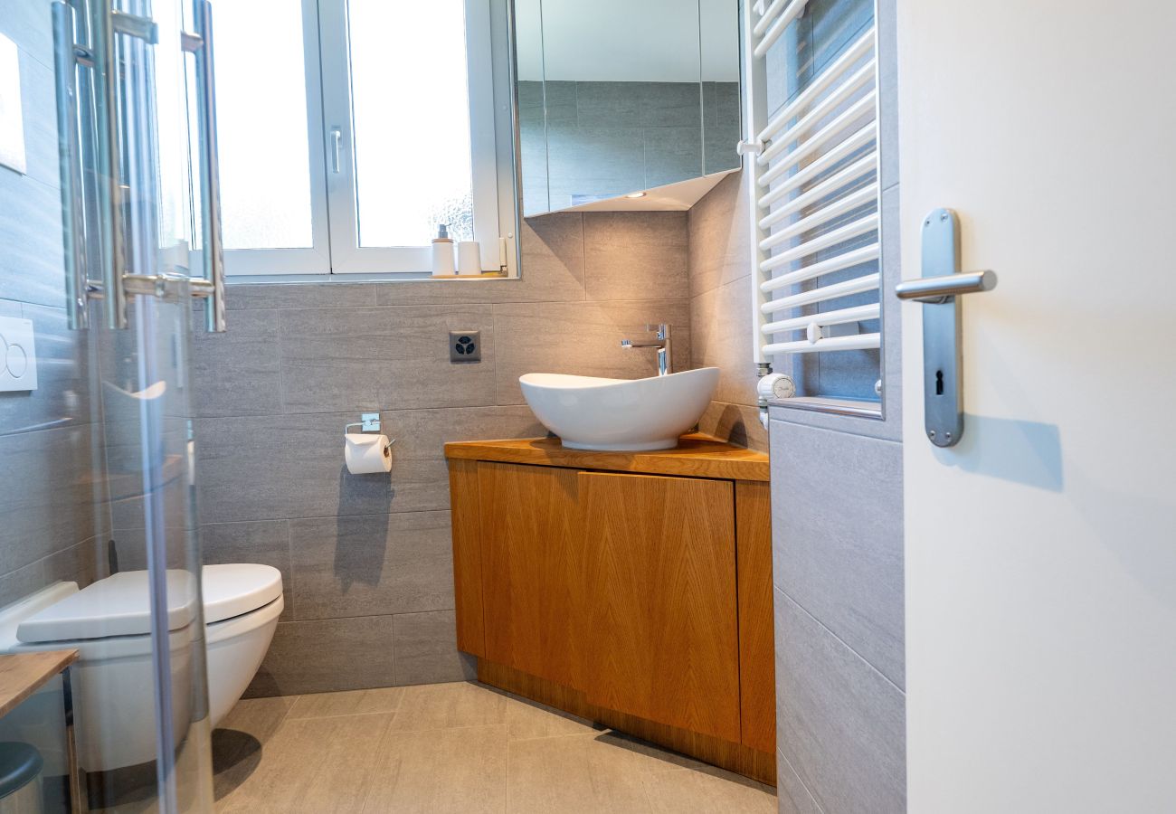 Ferienwohnung in Valbella - Wohnung Valbella: Langlauf, Seeblick